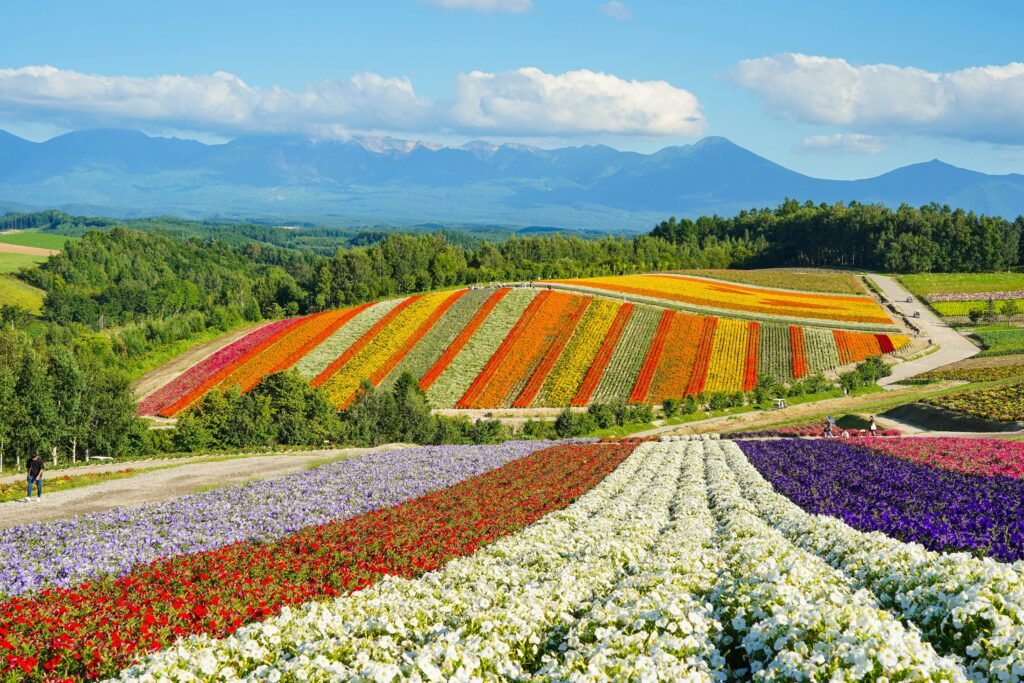 Exploring Hokkaido during Japan in August